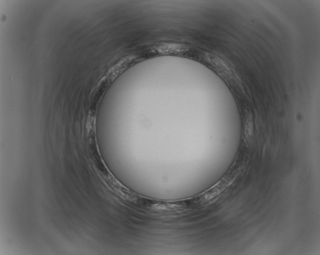 X0000087670367200705040731