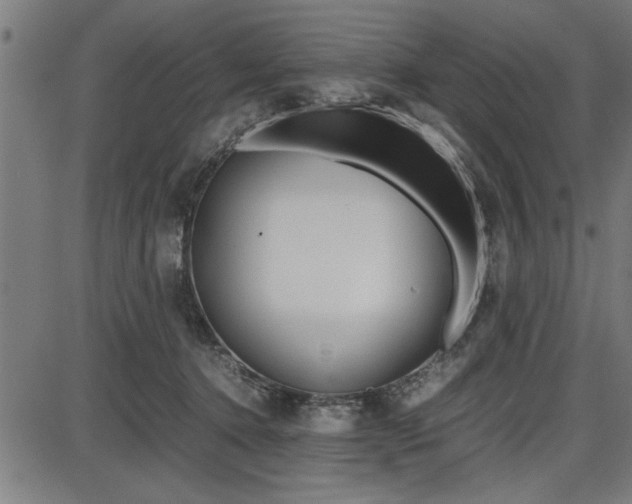 X0000087670368200705040731