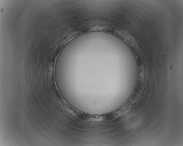 X0000087670369200705040731