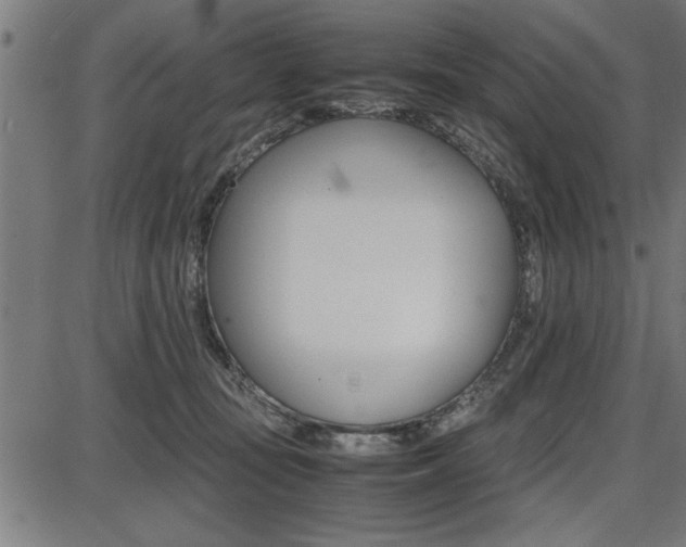 X0000087670371200705040731