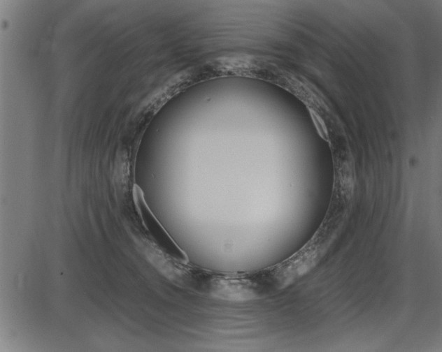 X0000087670372200705040731