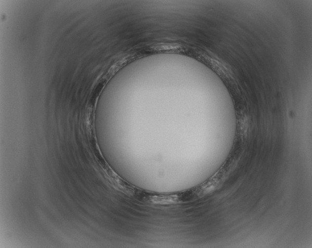 X0000087670373200705040731