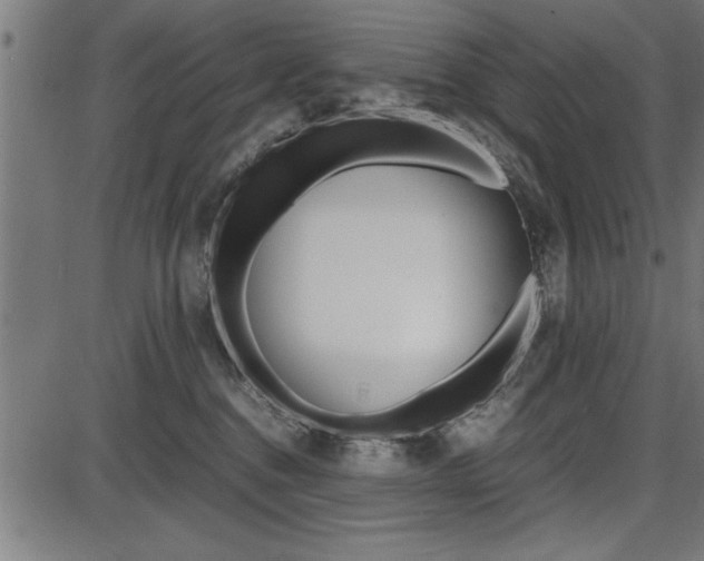 X0000087670376200705040731