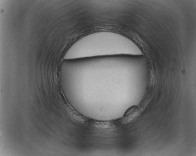 X0000087670377200705040731