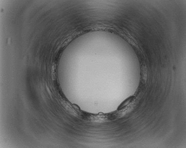 X0000087670378200705040731