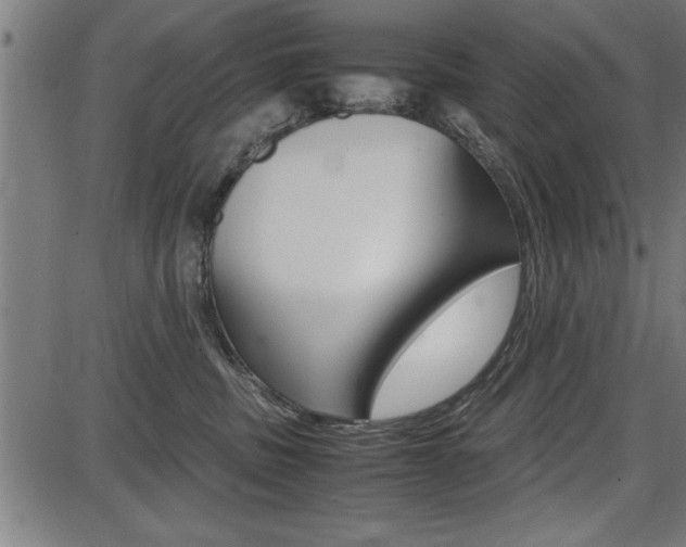 X0000087670379200705040731