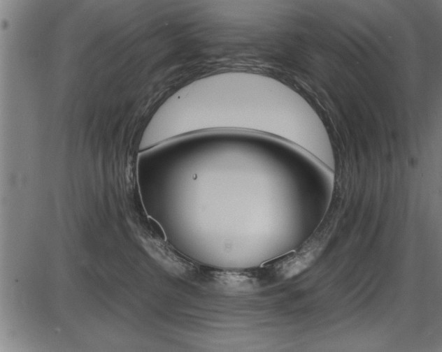 X0000087670380200705040731