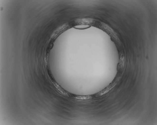 X0000087670381200705040731