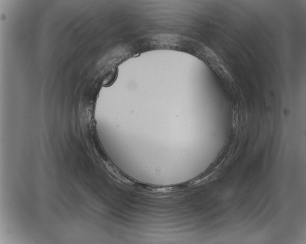 X0000087670382200705040731