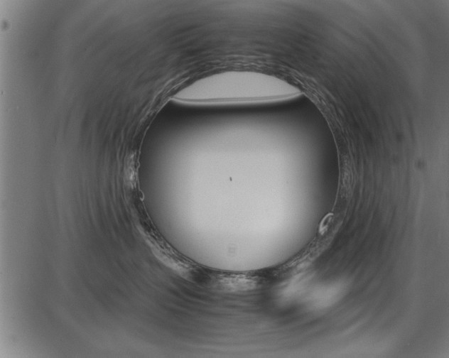 X0000087670383200705040731