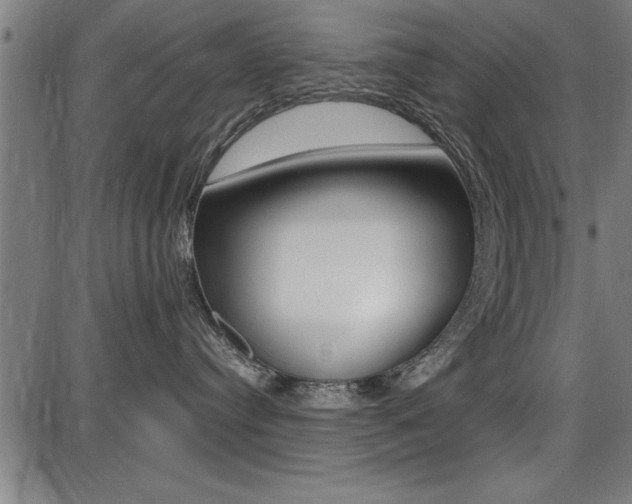 X0000087670384200705040731