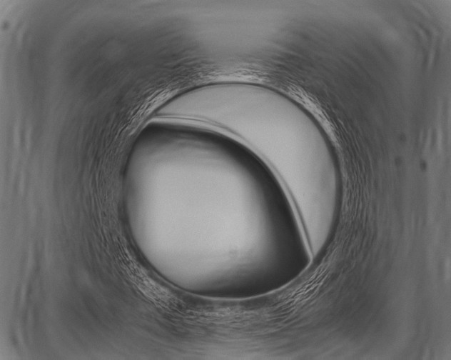 X0000087670385200705040731