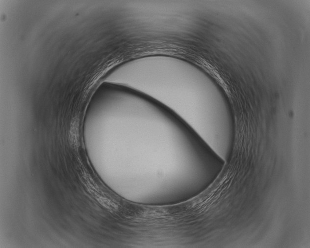 X0000087670386200705040731