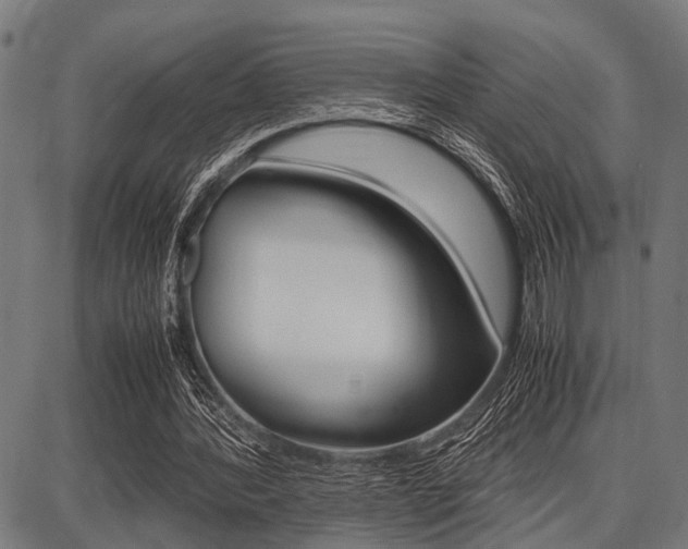 X0000087670388200705040731