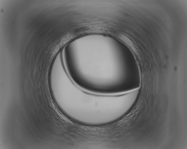 X0000087670389200705040731