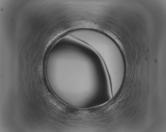 X0000087670391200705040731