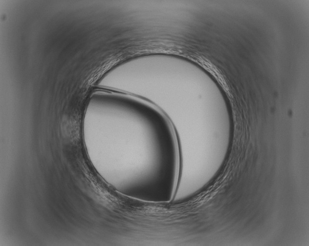 X0000087670393200705040731