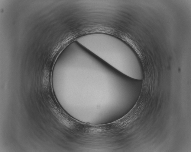 X0000087670394200705040731