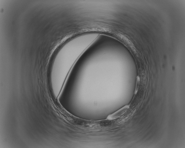 X0000087670395200705040731