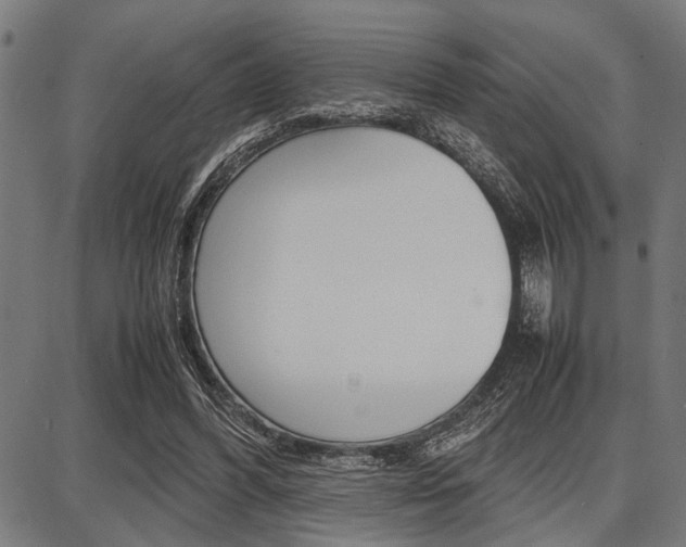 X0000087670396200705040730