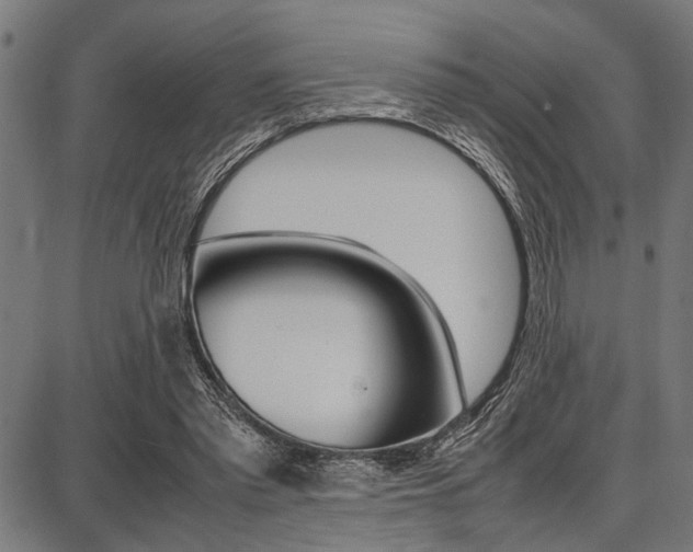 X0000087670397200705040730