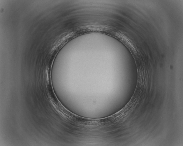 X0000087670398200705040730