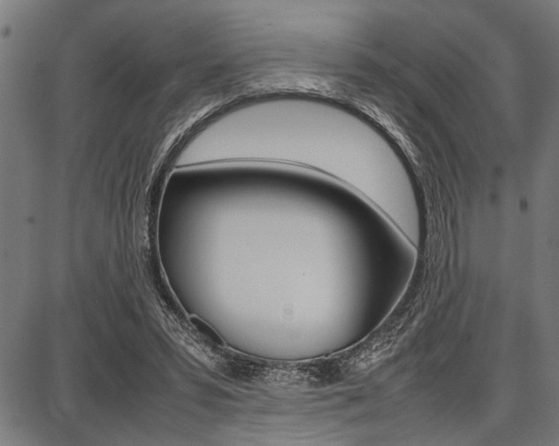 X0000087670399200705040730