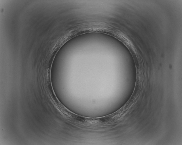 X0000087670401200705040730