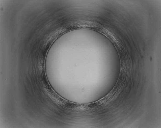 X0000087670402200705040730