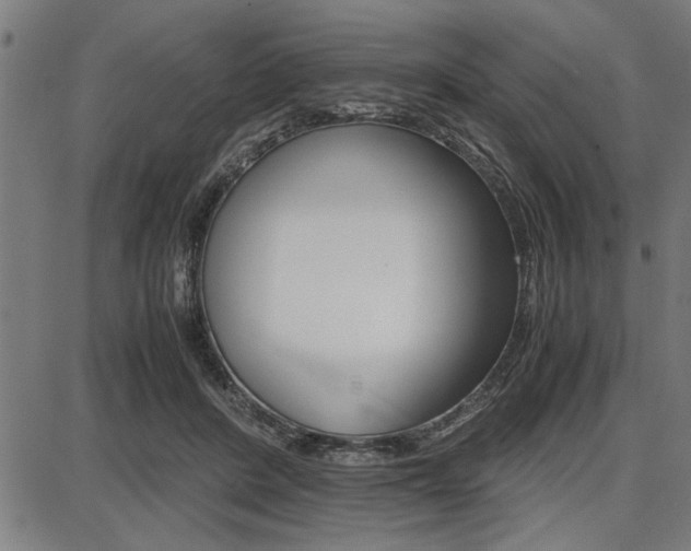 X0000087670408200705040730