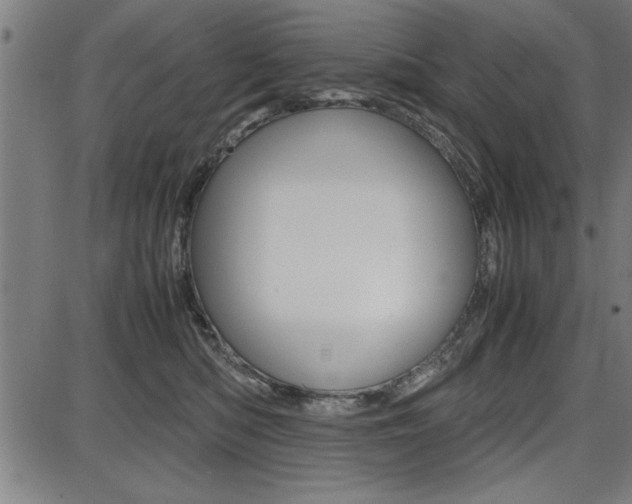 X0000087670422200705040730