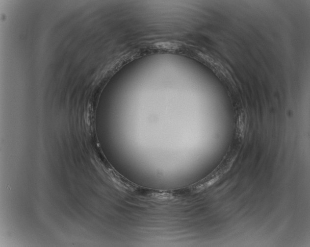 X0000087670424200705040730