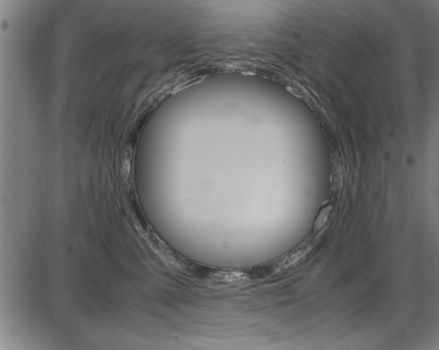 X0000087670427200705040730