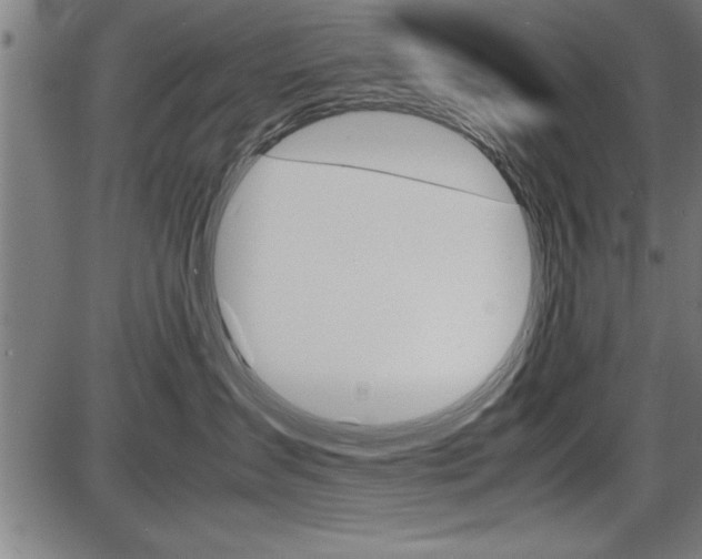 X0000087670431200705040730