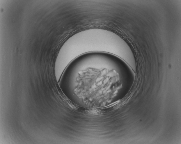 X0000087670432200705040730