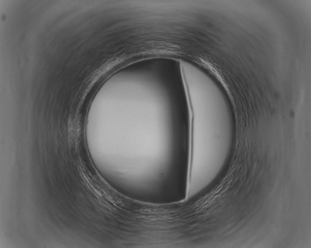 X0000087670435200705040729