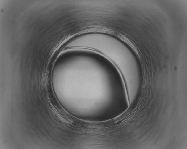 X0000087670436200705040729