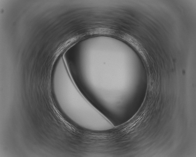 X0000087670437200705040729