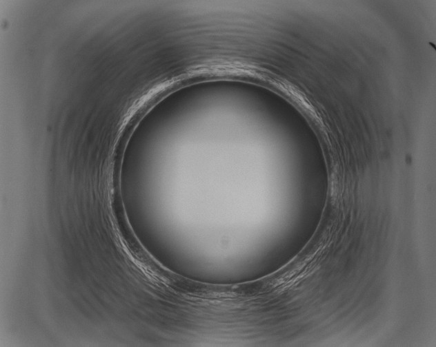 X0000087670438200705040729