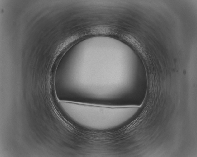 X0000087670439200705040729