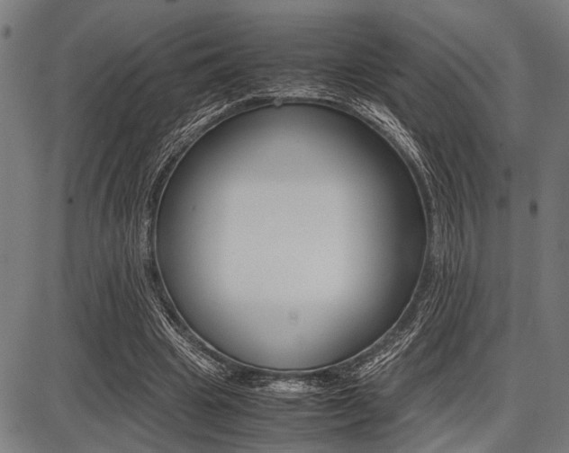 X0000087670441200705040729
