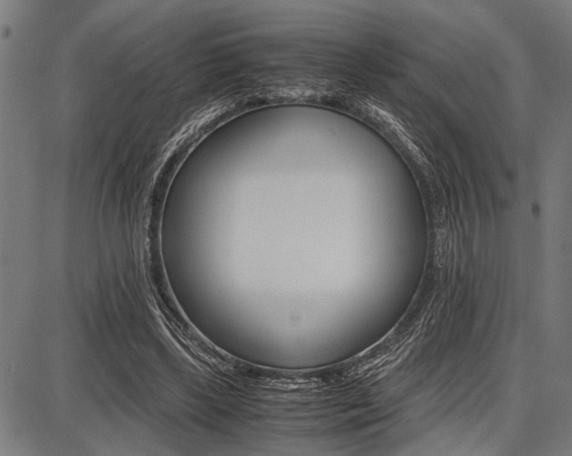 X0000087670443200705040729