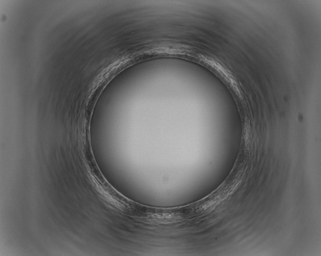 X0000087670445200705040729