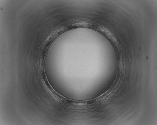 X0000087670449200705040729