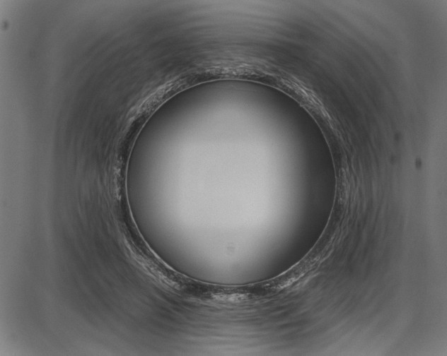X0000087670450200705040729