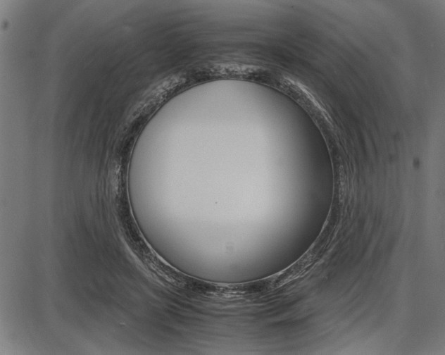 X0000087670451200705040729