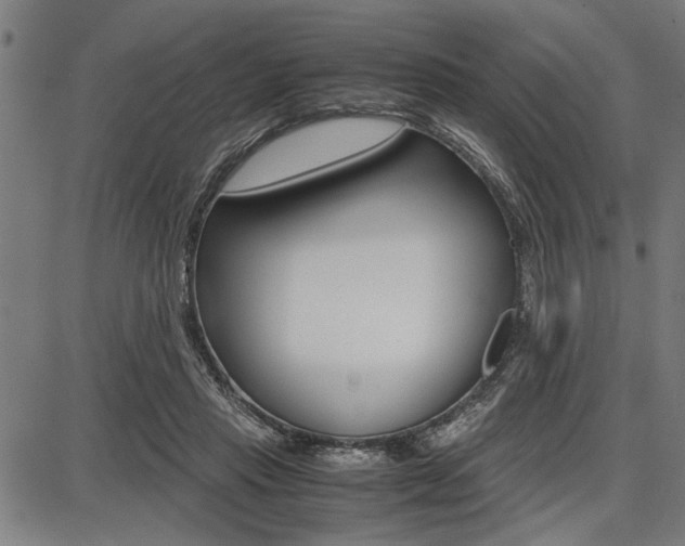 X0000087670453200705040729