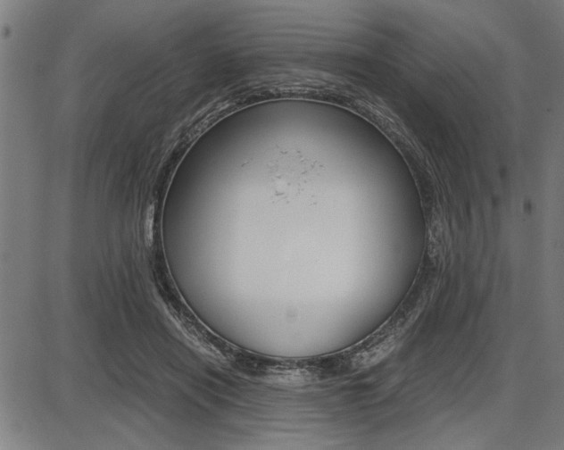 X0000087670454200705040729