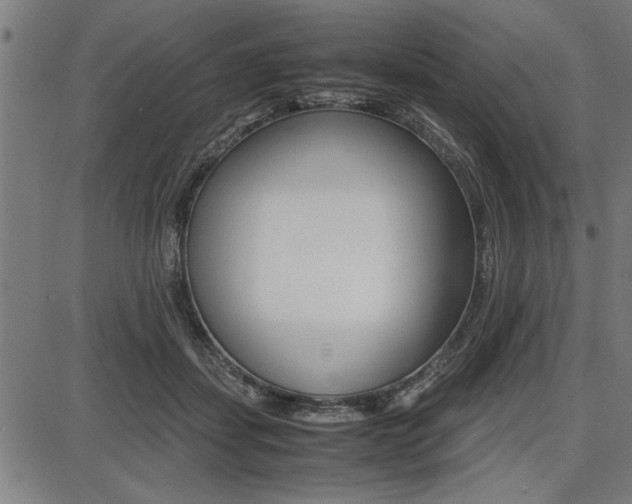 X0000087670459200705040730