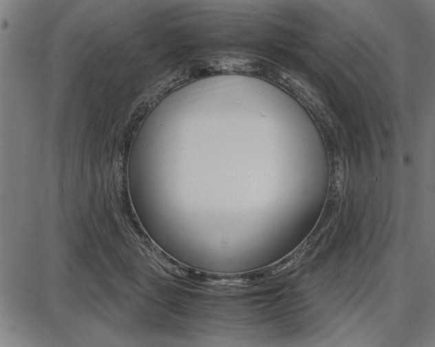 X0000087670461200705040730